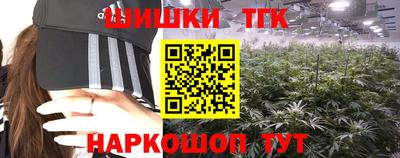 дмт Дубна