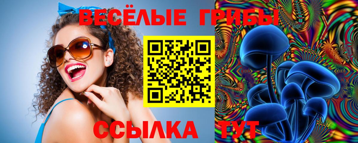 Галлюциногенные грибы Magic Shrooms  Галлюциногенные грибы мицелий  Вход с VPN  где продают наркотики  Ленинск-Кузнецкий 